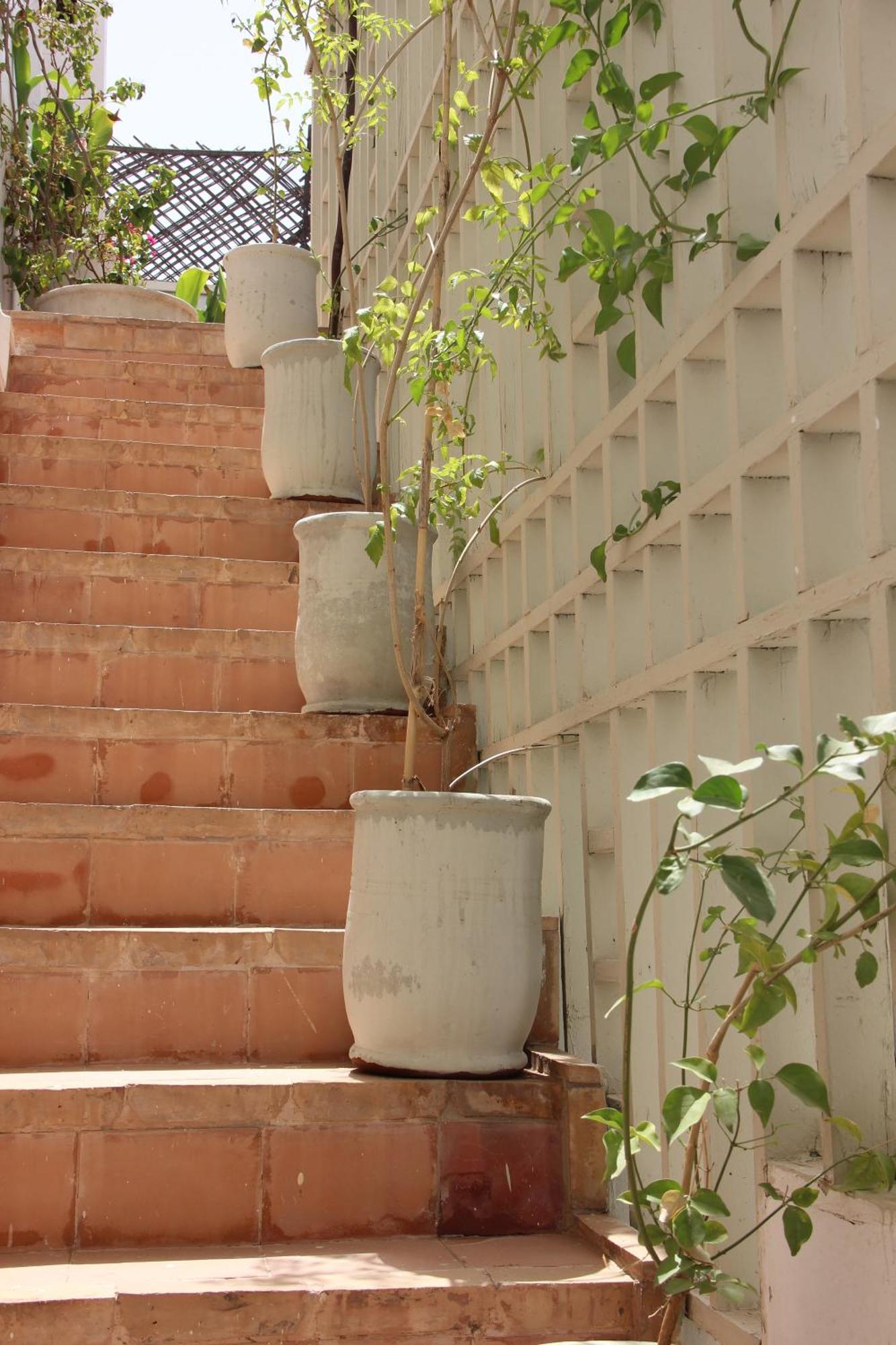 Dar Nael Riad