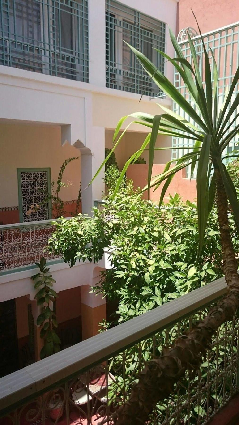 Dar Nael